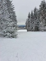 Spacious Stay Near Trails