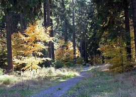 Spacious Stay Near Trails