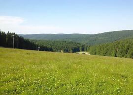 Spacious Stay Near Trails