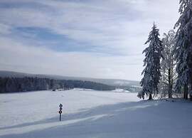 Spacious Stay Near Trails