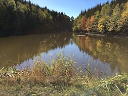 Detached Holiday Home in the Harz With Wood Stove