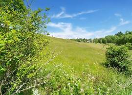 Detached Holiday Home in the Harz With Wood Stove
