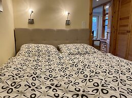 Detached Holiday Home in the Harz With Wood Stove