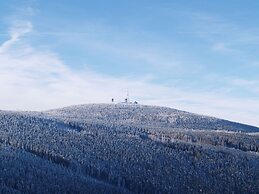Detached Holiday Home in the Harz With Wood Stove