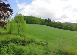 Villa in Borstendorf Nahe Erzgebirge