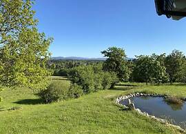 Cozy Apartment in Braunlage near Forest