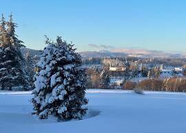 Cozy Apartment in Braunlage near Forest