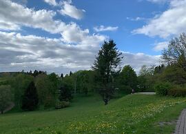 Cozy Apartment in Braunlage near Forest