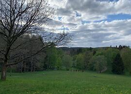 Cozy Apartment in Braunlage near Forest