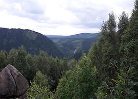 Cozy Apartment in Braunlage near Forest