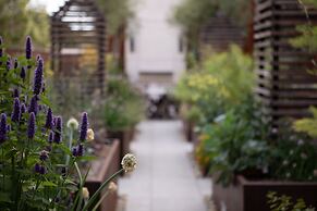 HOTEL CERRO, Autograph Collection