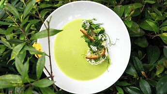 MUNI KYOTO by Onko Chishin