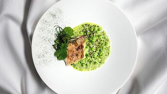 MUNI KYOTO by Onko Chishin