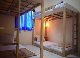 Dodo Dormitory Backpacker