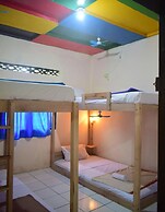 Dodo Dormitory Backpacker