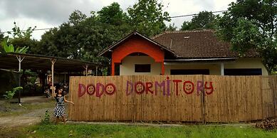 Dodo Dormitory Backpacker