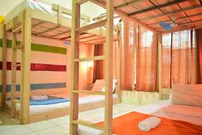 Dodo Dormitory Backpacker