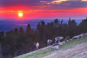 Holiday Club Ruka apartments & cottages