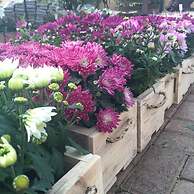 Sandy's Creations Resort