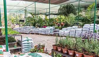 Sandy's Creations Resort