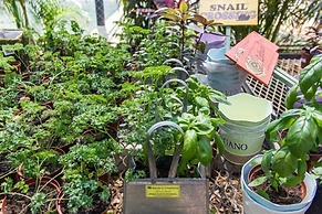 Sandy's Creations Resort