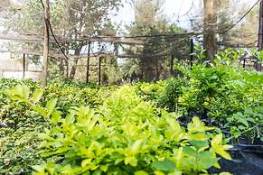 Sandy's Creations Resort