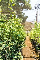 Sandy's Creations Resort