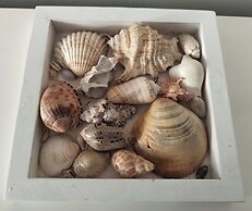 Sézane's Lodges: shared home - not hotel - in museum district