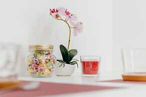 Sia Downtown Apartments