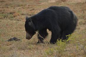 Lake View Bungalow Yala