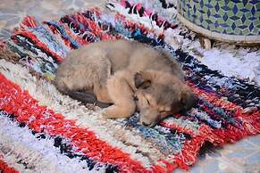 Kasbah Panorama Oasis