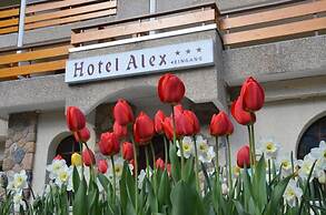 Hotel Alex