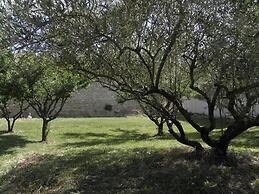 Provence Roulottes Hébergement insolite