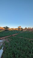 Kasbah Desert Camp