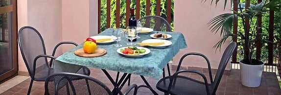 Camping Garden Tourist