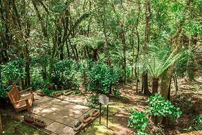 Hotel Cozumel Sierra