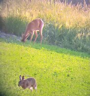 La Berrycurienne Proche du zoo de Beauval Saint-aignan