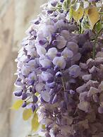 Villa Palagione Centro Interculturale