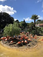 Camping du Petit Pont