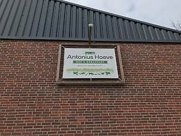 Antonius Hoeve