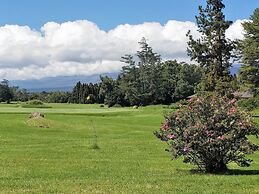 Ferns & Frogs Forest Hale 3 Bedroom Home by RedAwning