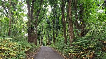 Ferns & Frogs Forest Hale 3 Bedroom Home by RedAwning