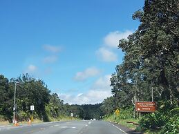 Ferns & Frogs Forest Hale 3 Bedroom Home by RedAwning