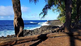 Ferns & Frogs Forest Hale 3 Bedroom Home by RedAwning