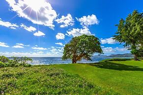 Beautifully Upgraded, Full Kitchen, Comfy King Bed, Ac 1 Bedroom Condo