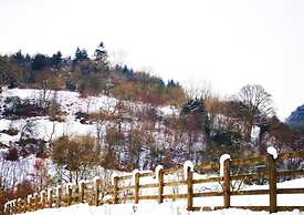 Cottage Sleeps3-fireplace-balcony-garden-mountain