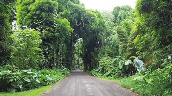 Hale O Makani 3 Bedroom Home by RedAwning