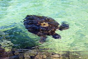 Maluhia Kahakai 2 Bedroom Condo by RedAwning