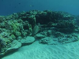 Maluhia Kahakai 2 Bedroom Condo by RedAwning