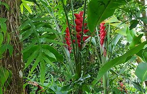 Maluhia Kahakai 2 Bedroom Condo by RedAwning